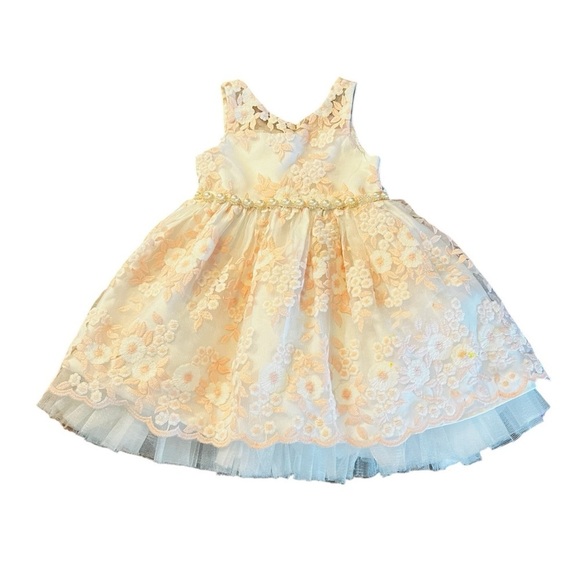American Princess Floral Dress Size 2T White and Pastel Pink Floral Overlay - Picture 1 of 14
